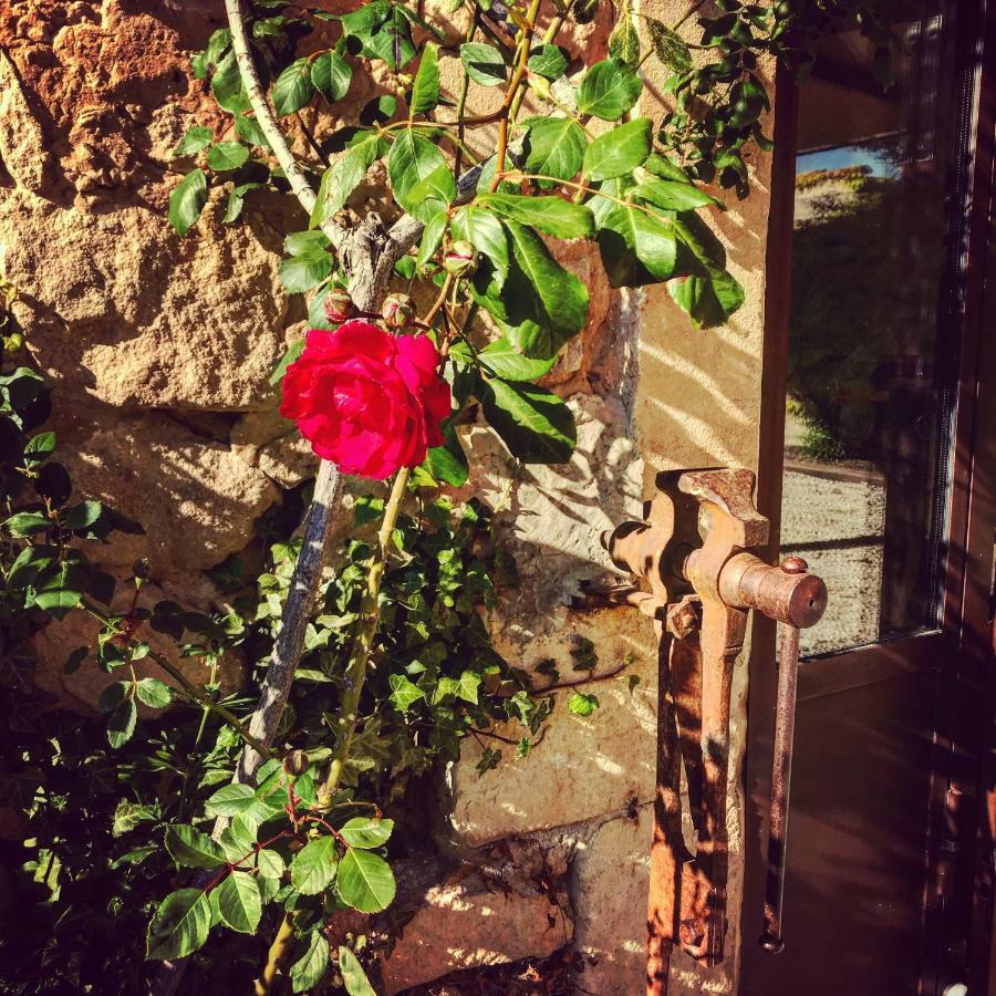 Le Clos D'Olea Oppede Bagian luar foto